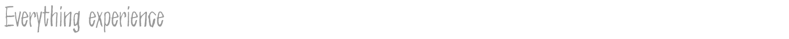 Everything Experience font preview